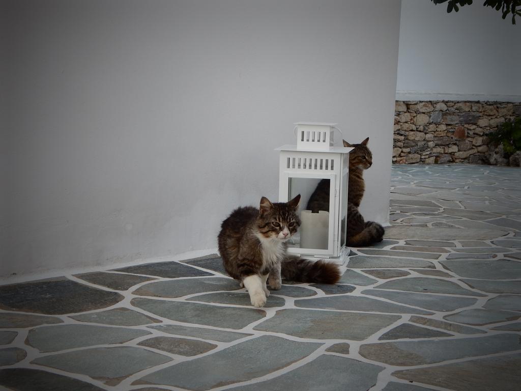 Aegeo Hotel Folégandros المظهر الخارجي الصورة