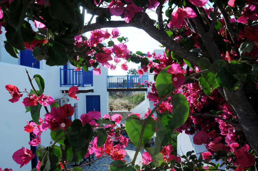 Aegeo Hotel Folégandros المظهر الخارجي الصورة